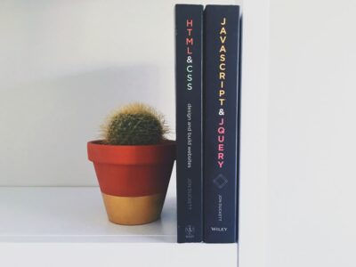 JavaScript Books